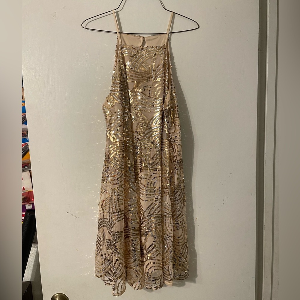 Charlott Russe Dress